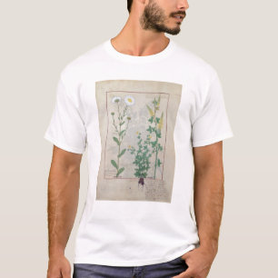 Illustration from 'The Book of Simple T-Shirt