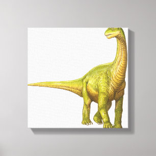 Illustration of a Camarasaurus Canvas Print