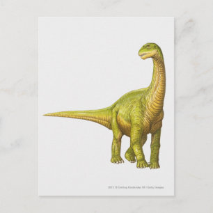 Illustration of a Camarasaurus Postcard