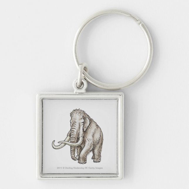 Illustration of a mammoth key ring (Front)