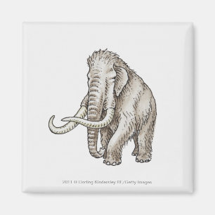 Illustration of a mammoth magnet