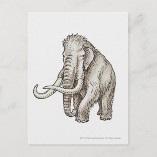 Illustration of a mammoth postcard