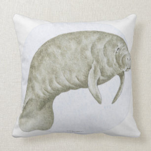 Illustration of a Manatee (Trichechus sp.) Cushion