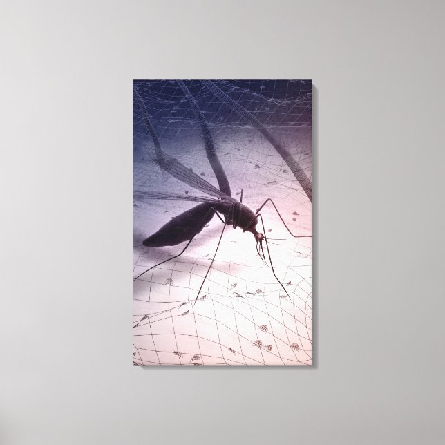 Illustration of a mosquito biting canvas print (Front)