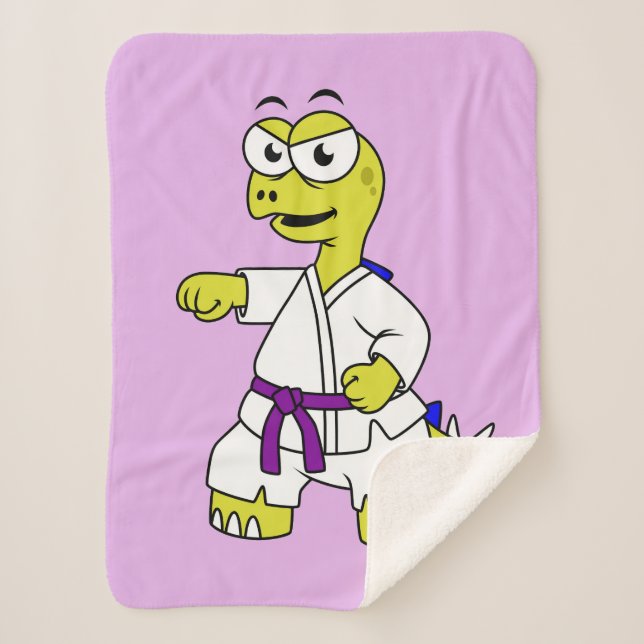 Illustration Of A Stegosaurus Practicing Karate. Sherpa Blanket (Front)