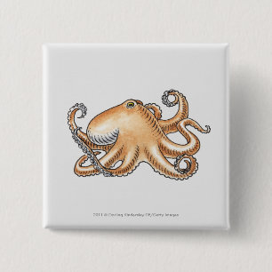 Illustration of an octopus 15 cm square badge