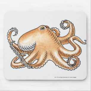 Illustration of an octopus mouse mat