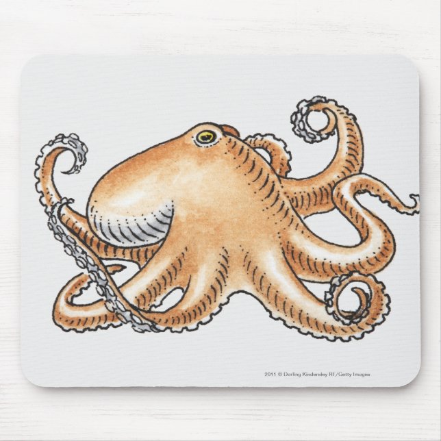 Illustration of an octopus mouse mat (Front)