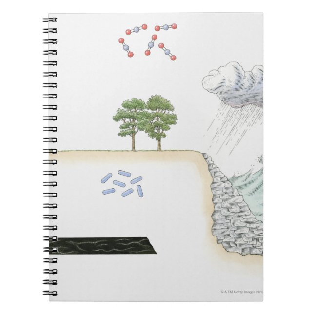 Illustration of carbon cycle on Earth Notebook (Front)