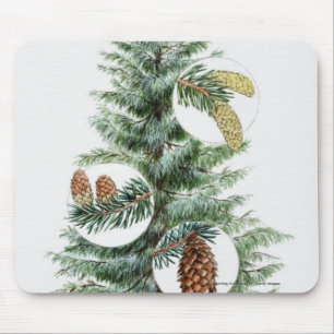 Illustration of coniferous tree with cones mouse mat