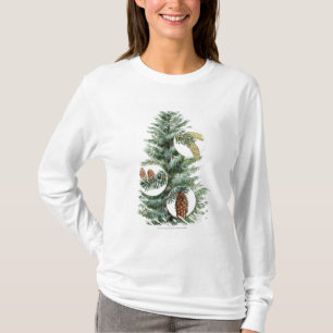 Illustration of coniferous tree with cones T-Shirt