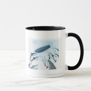Illustration of dolphins looking up at a boat mug
