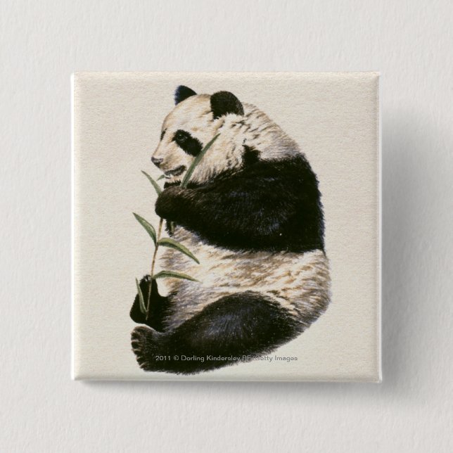 Illustration of Giant panda feeding on bamboo 15 Cm Square Badge (Front)