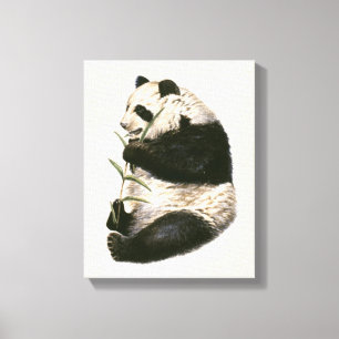 Illustration of Giant panda feeding on bamboo Canvas Print