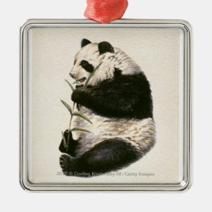 Illustration of Giant panda feeding on bamboo Metal Tree Decoration