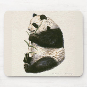 Illustration of Giant panda feeding on bamboo Mouse Mat