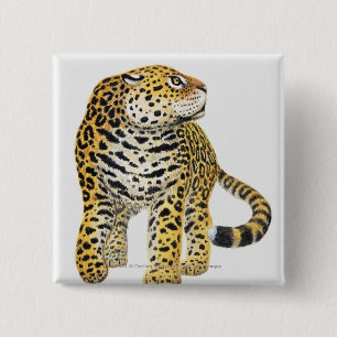 Illustration of Jaguar with head in profile 15 Cm Square Badge