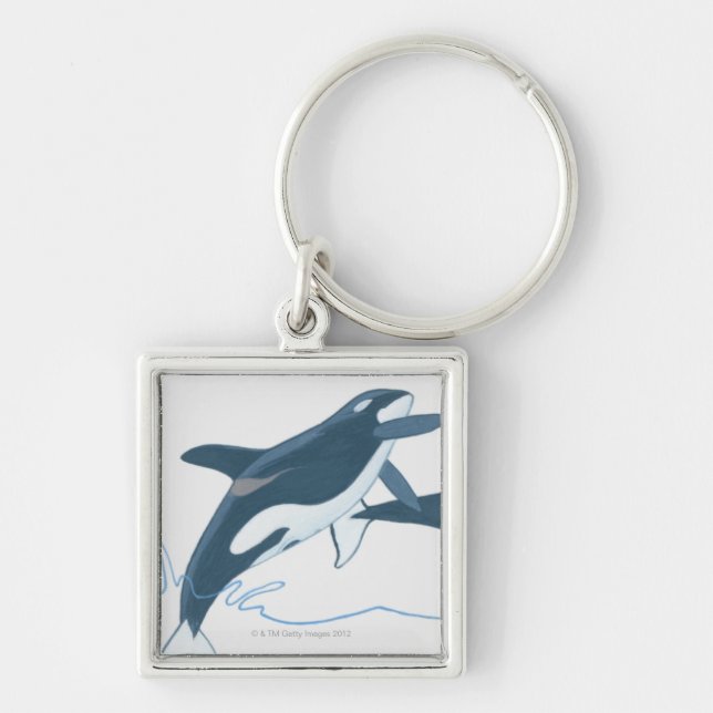 Illustration of Killer Whales (Orcinus orca) Key Ring (Front)