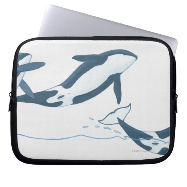 Illustration of Killer Whales (Orcinus orca) Laptop Sleeve (Front)