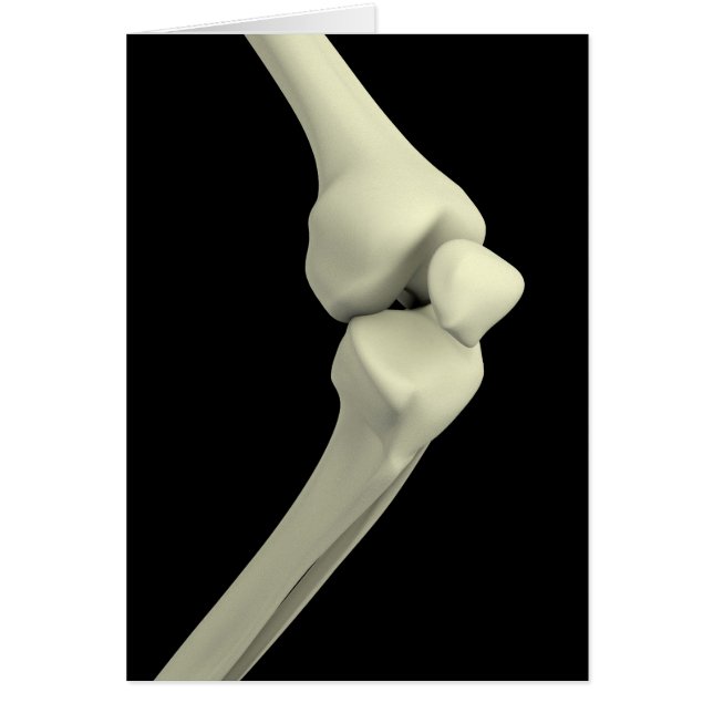 Illustration Of Knee Bone, Bending (Front)