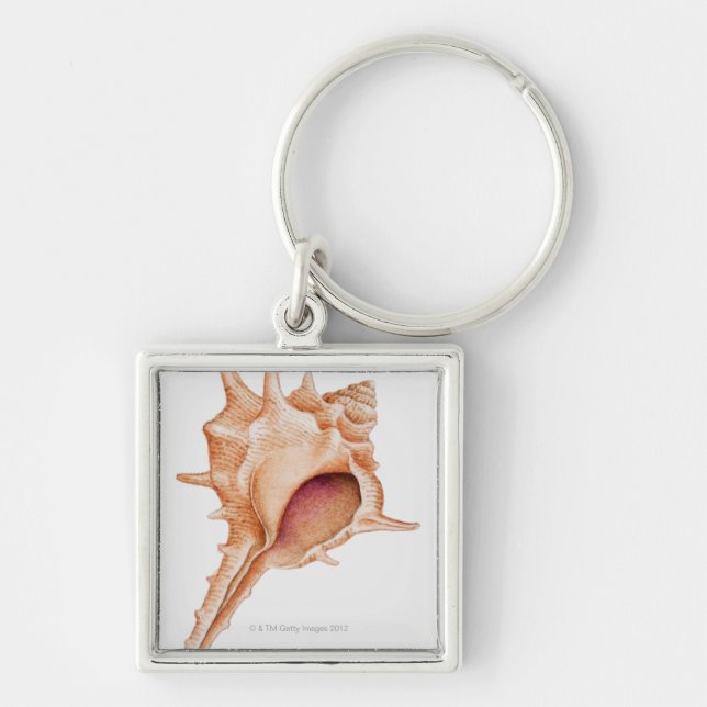 Illustration of Murex shell Key Ring (Front)