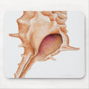 Illustration of Murex shell Mouse Mat