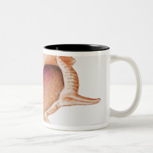 Illustration of Murex shell Two-Tone Coffee Mug