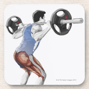 Illustration of muscles used by man to lift coaster