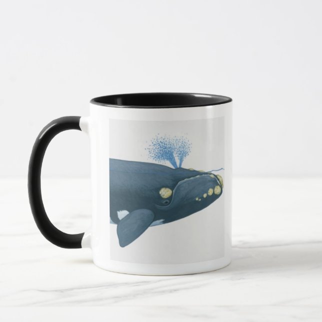 Illustration of North Pacific Right Whale Mug (Left)