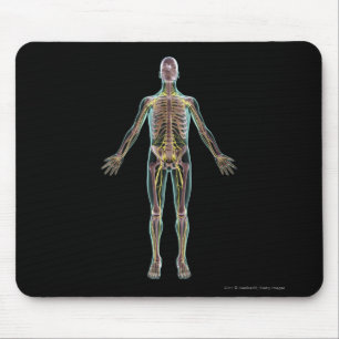 Illustration of the nervous system mouse mat