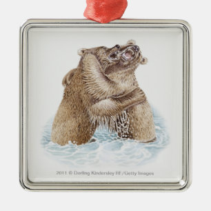Illustration of two Brown Bears fighting in water Metal Tree Decoration