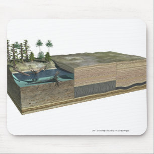 Illustration showing formation of coal mouse mat