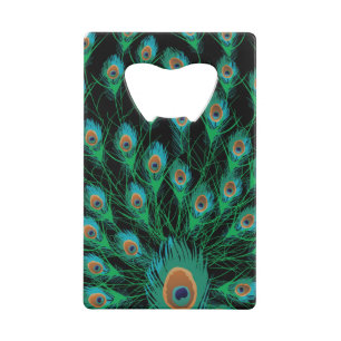 Illustration With Peacock Feathers on Black