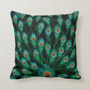 Illustration With Peacock Feathers on Black Cushion