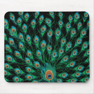 Illustration With Peacock Feathers on Black Mouse Mat