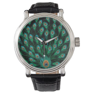 Illustration With Peacock Feathers on Black Watch