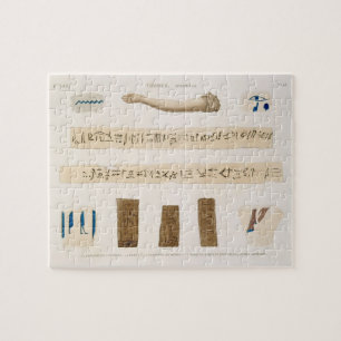 Illustrations of Hieroglyphics and the arm of a mu Jigsaw Puzzle