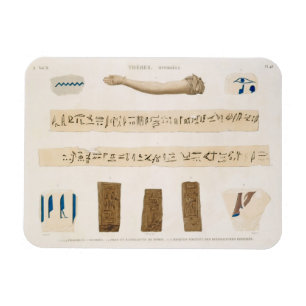 Illustrations of Hieroglyphics and the arm of a mu Magnet