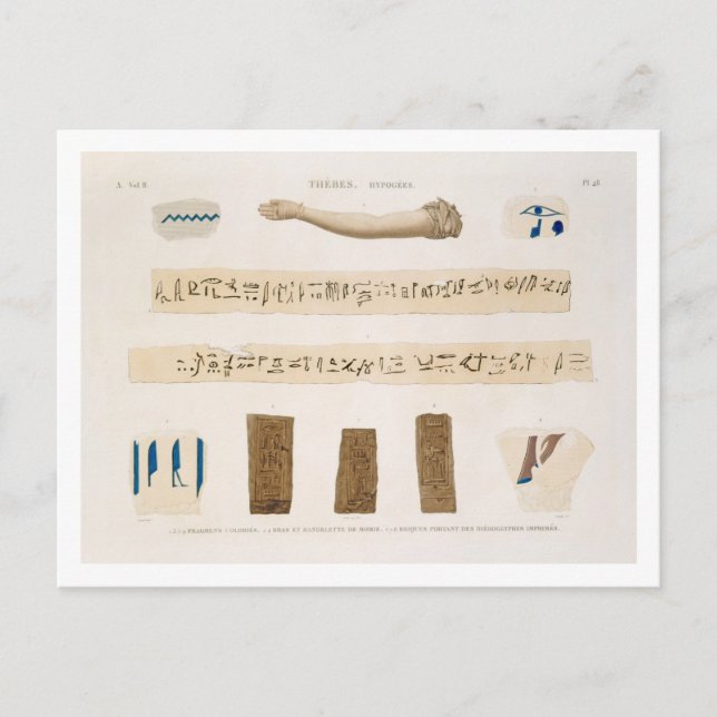 Illustrations of Hieroglyphics and the arm of a mu Postcard (Front)