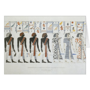 Illustrations of hieroglyphics from the Tombs of t