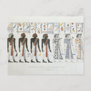 Illustrations of hieroglyphics from the Tombs of t Postcard