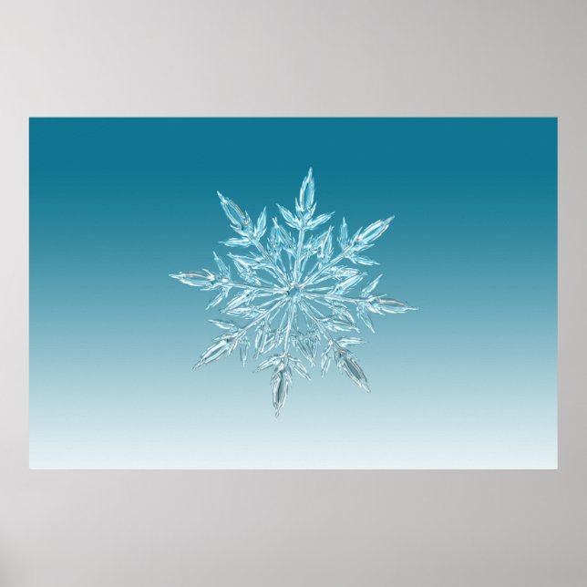 illustrations snowflake ice crystal winter snow poster (Front)