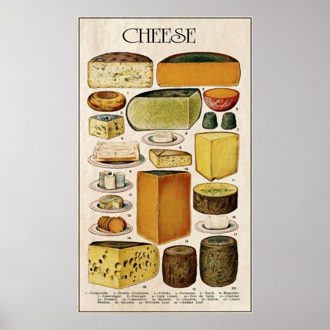 ILLUSTRATIVE CHEESE LOVER's PANEL 1907 Poster (Front)