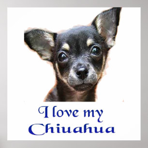 Ilovemychiwawatee Poster