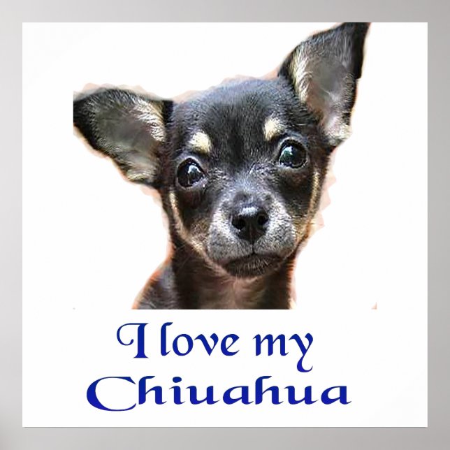 Ilovemychiwawatee Poster (Front)