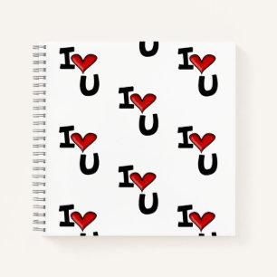 ilovu   notebook