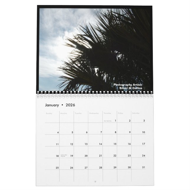 IM000977, Edisto Island, South Carolina Landscapes Calendar (Jan 2026)