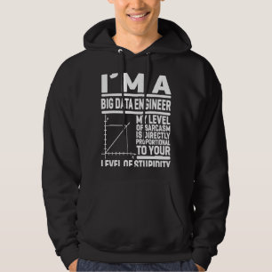 I'm A Big Data Engineer My Level Of Sarcasm Is Dir Hoodie