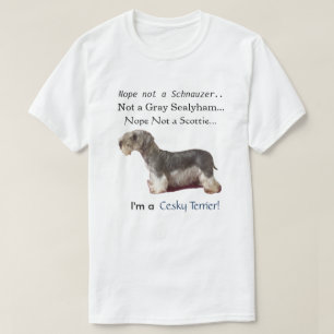 I'm a Cesky Terrier T-Shirt