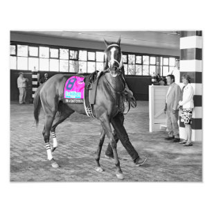 I'm a Chatterbox Photo Print